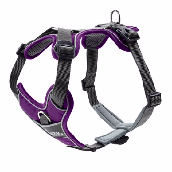 image 5.png