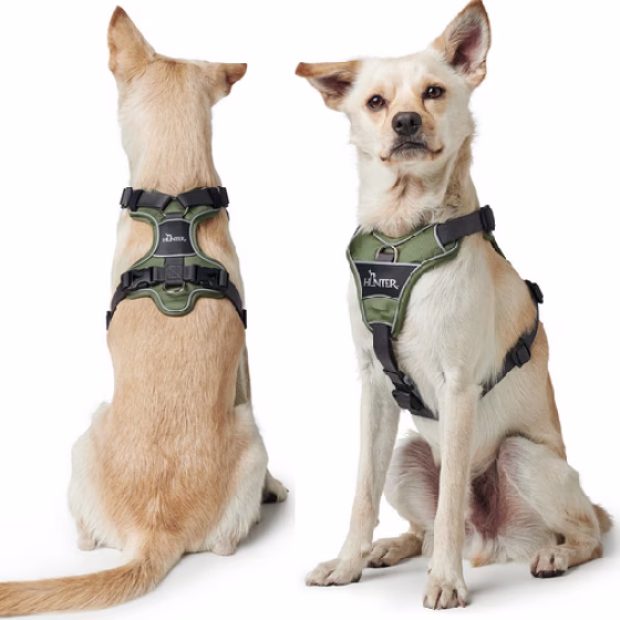 Harnais Divo chien VERT, attache anti traction
