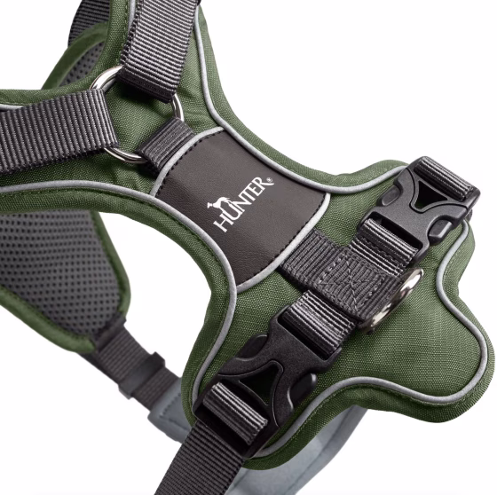 Harnais Divo chien VERT, attache anti traction