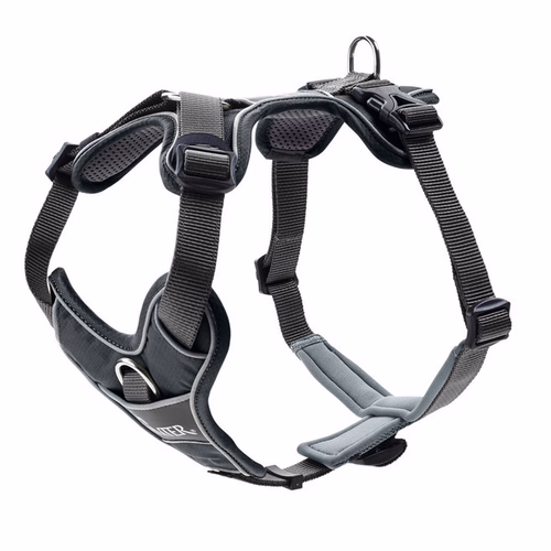 image 2.png