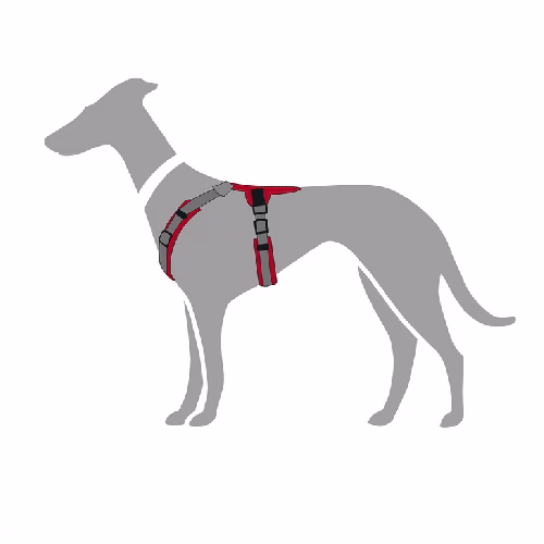 image 5.png