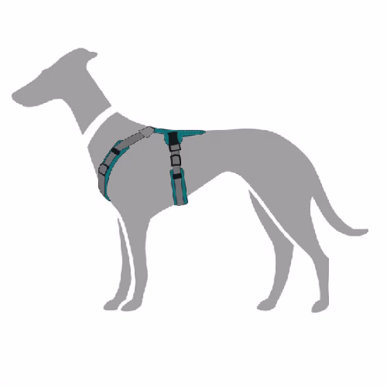 image 2.png