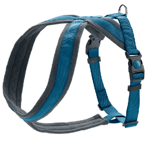 image 1.png