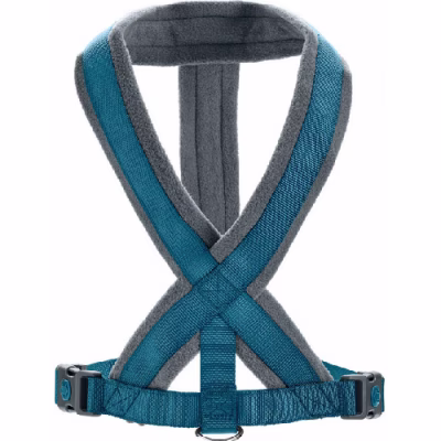 image 1.png