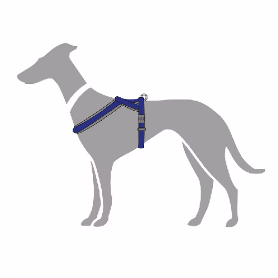 image 1.png