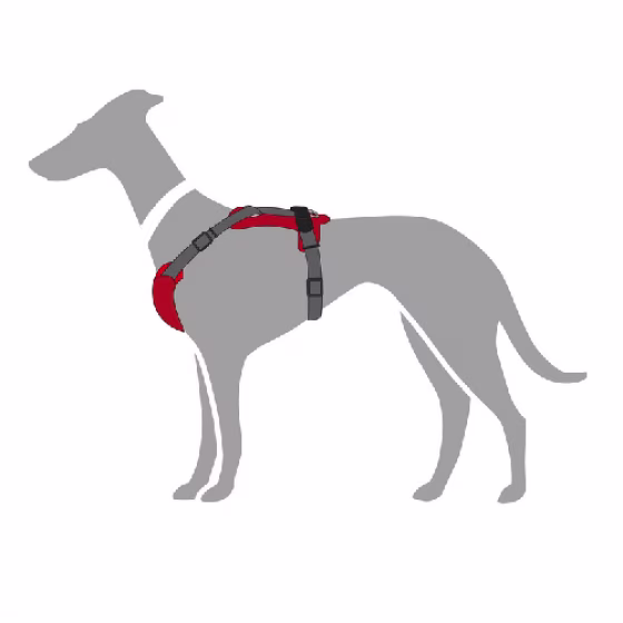 image 1.png