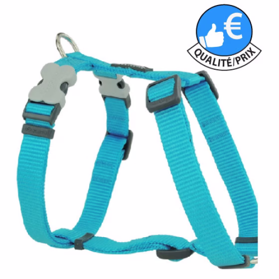 Harnais-YTurquoise.jpg