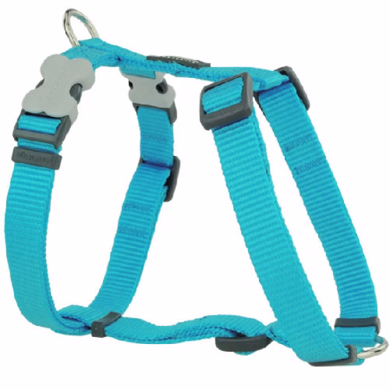 Harnais-YTurquoise.jpg