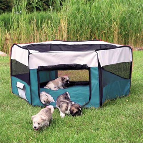 64054-enclos pour chiens.png