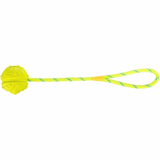 image 1.png