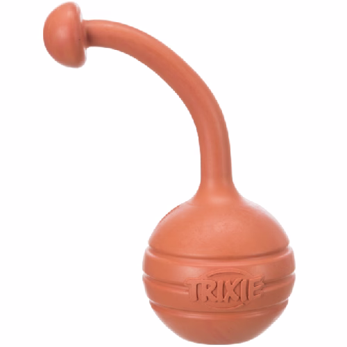 image 1.png