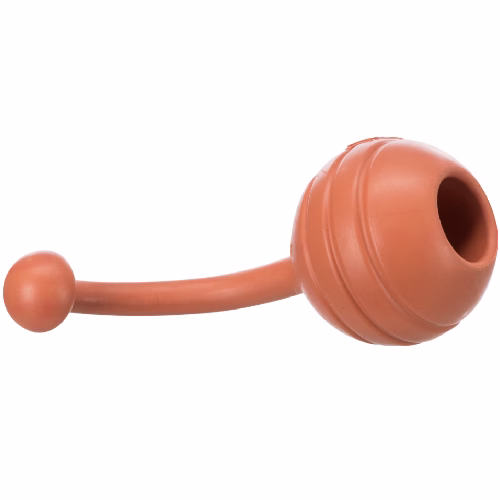 image 1.png