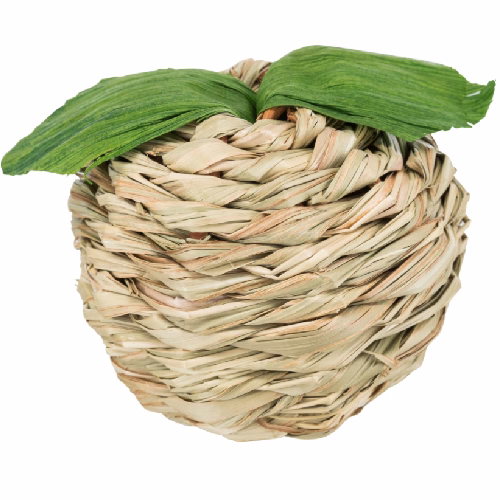 image 1.png