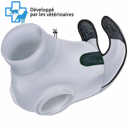 Body de protection pour chat
