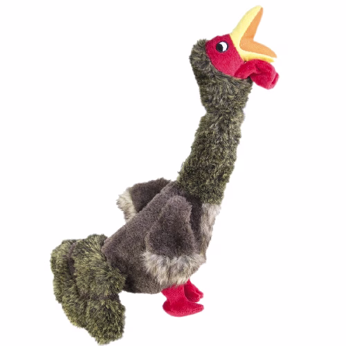 image 1.png