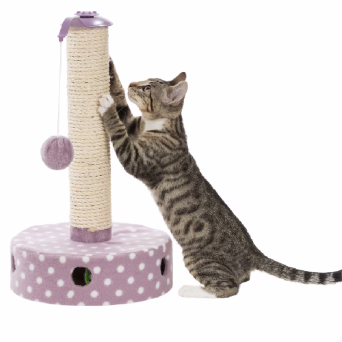 Poteau avec Griffoir pour Chaton MAUVE