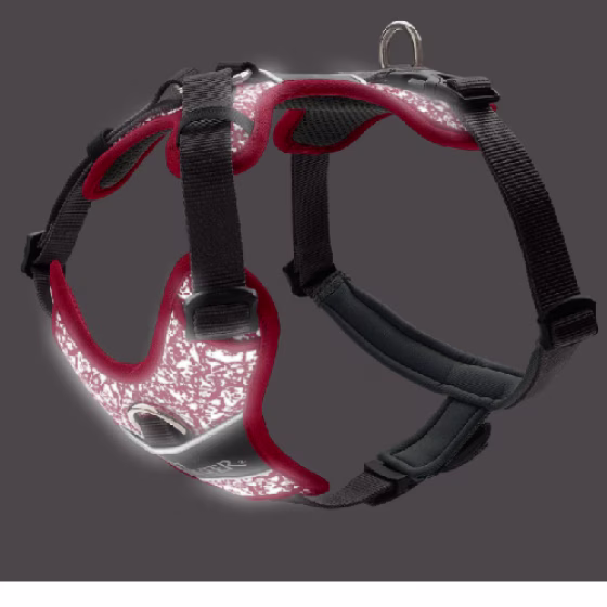 image 1.png