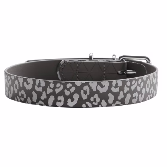 Collier Convenience Léopard pour Chien