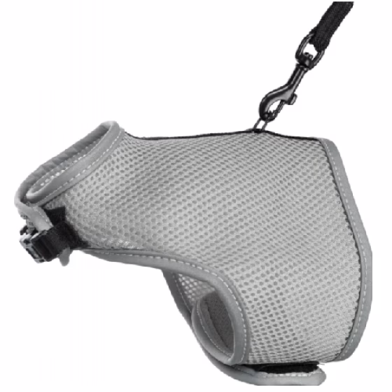 image 1.png