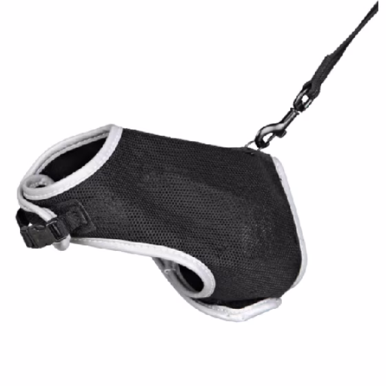 image 1.png
