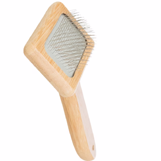 image 1.png