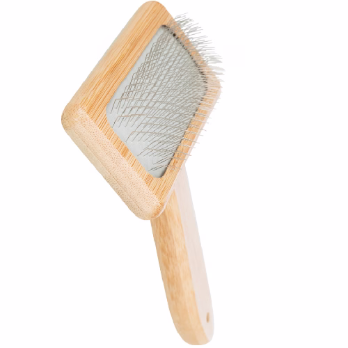 image 1.png