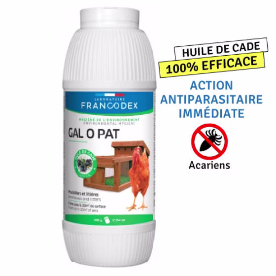 500TEXTE.jpg