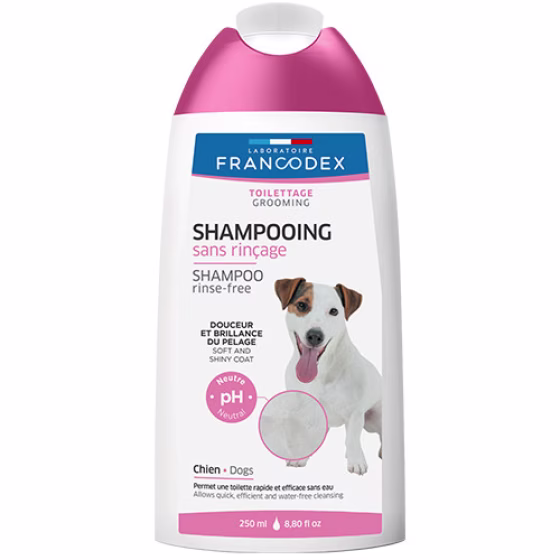 Shampooing.jpg
