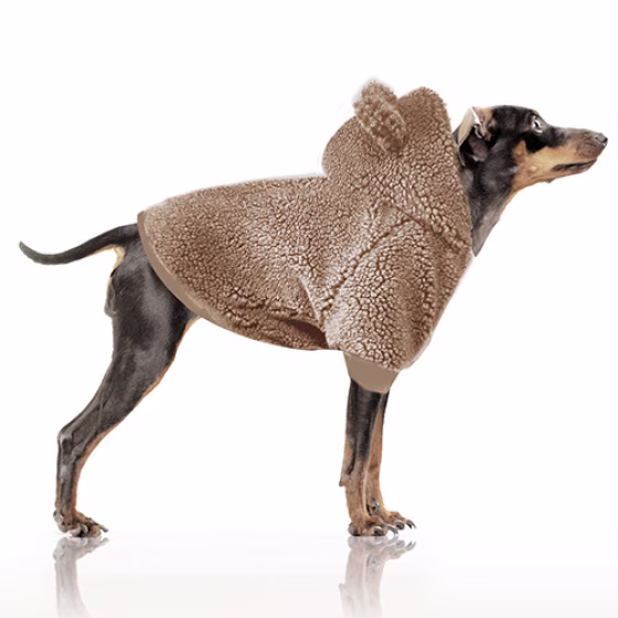 MP1773 -  ELLIOT Camel.jpg
