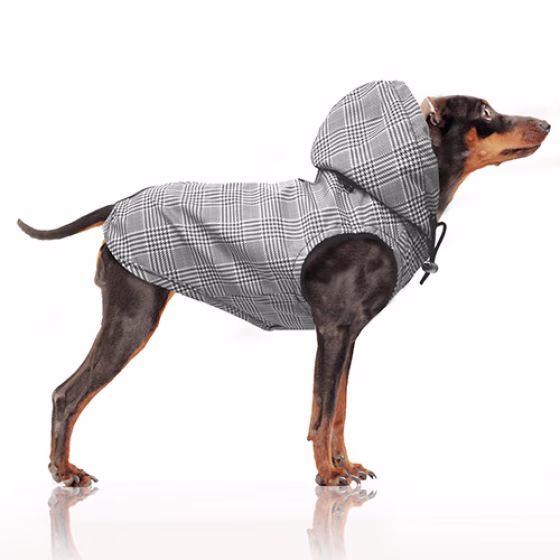 MP1791 GREGOR Dog.jpg