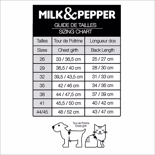 MP1791 GREGOR Dog.jpg