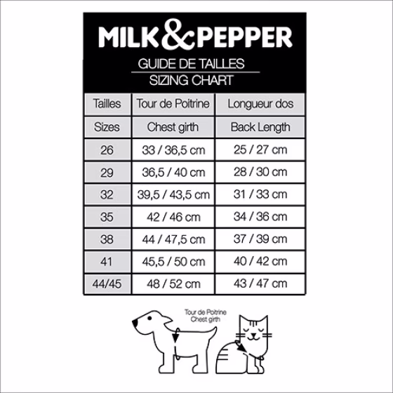 MP1791 GREGOR Dog.jpg