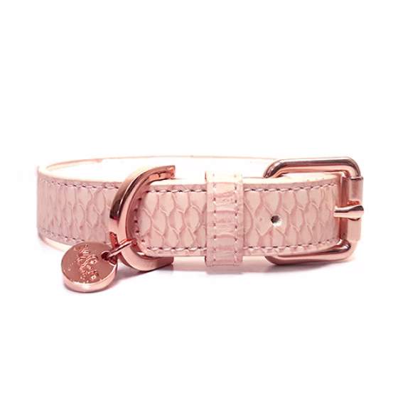 MP4171 SAFIRA Rose.jpg