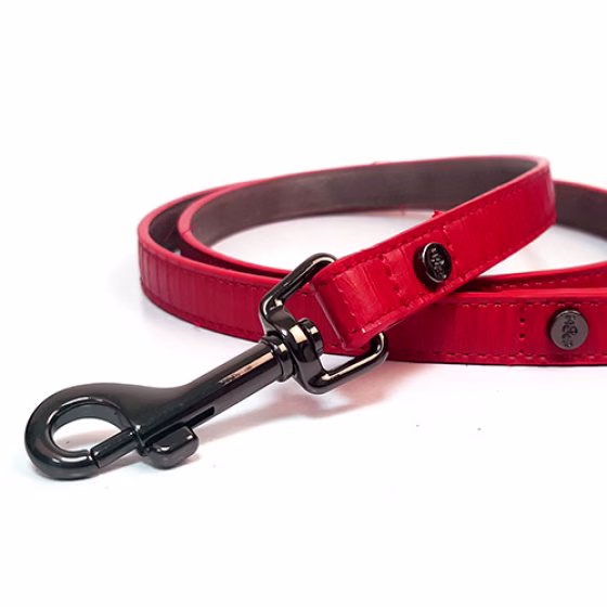 MP4174 SAFIRA Rouge.jpg