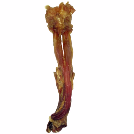 image 2.png