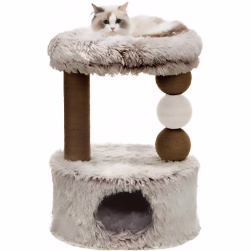 269957_PHO_PRO_CAT_CLIP_44537-1.jpg