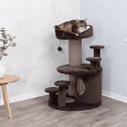 176520_PHO_PRO_CAT_CLIP_44930-1.jpg
