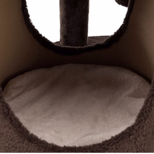 176520_PHO_PRO_CAT_CLIP_44930-1.jpg