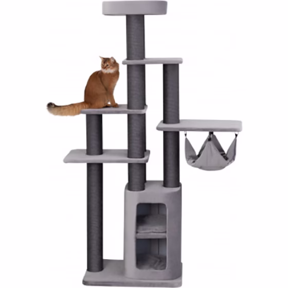 265149_PHO_PRO_CAT_CLIP_44707-1.jpg