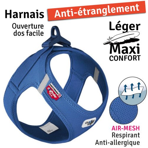 Bleu1.jpg