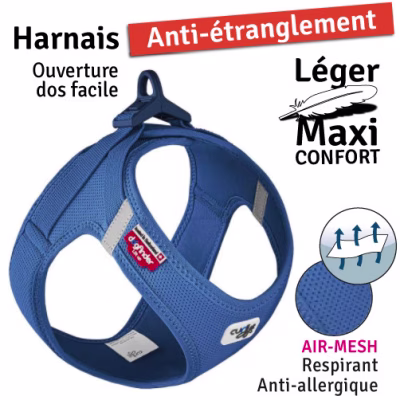 Bleu1.jpg