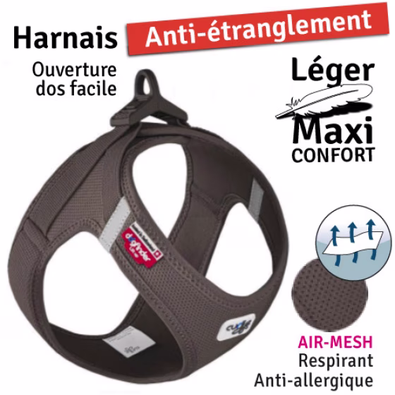 Marron1.jpg