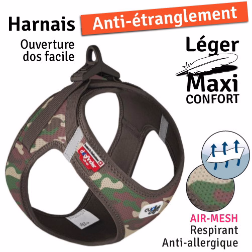 Militaire1.jpg
