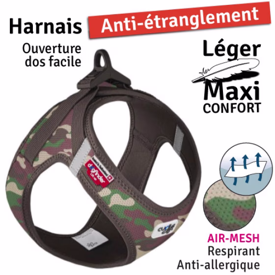 Militaire1.jpg