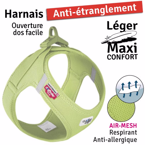 Vert1.jpg