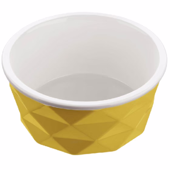 image 4.png