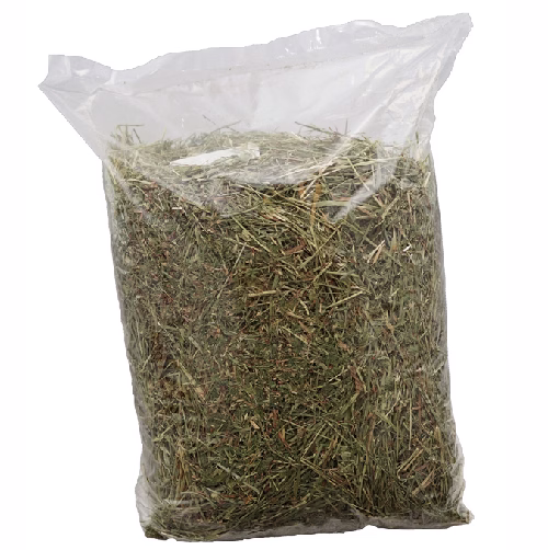 image 7.png