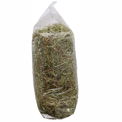 image 7.png