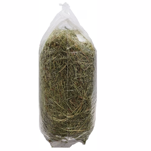 image 7.png