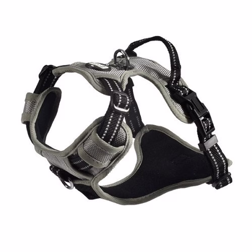 image 3.png